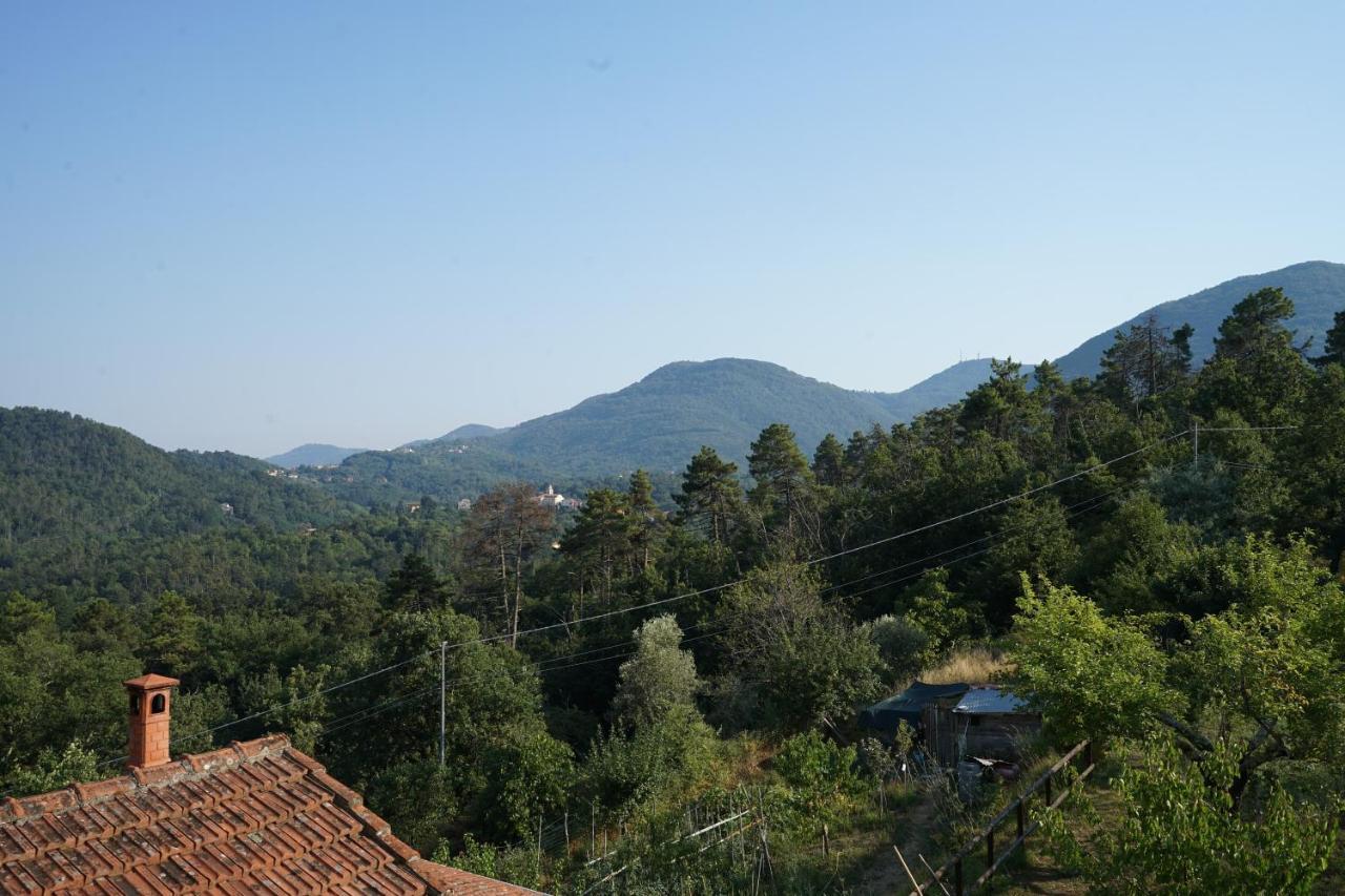 Holiday home Ca Nel Bosco *