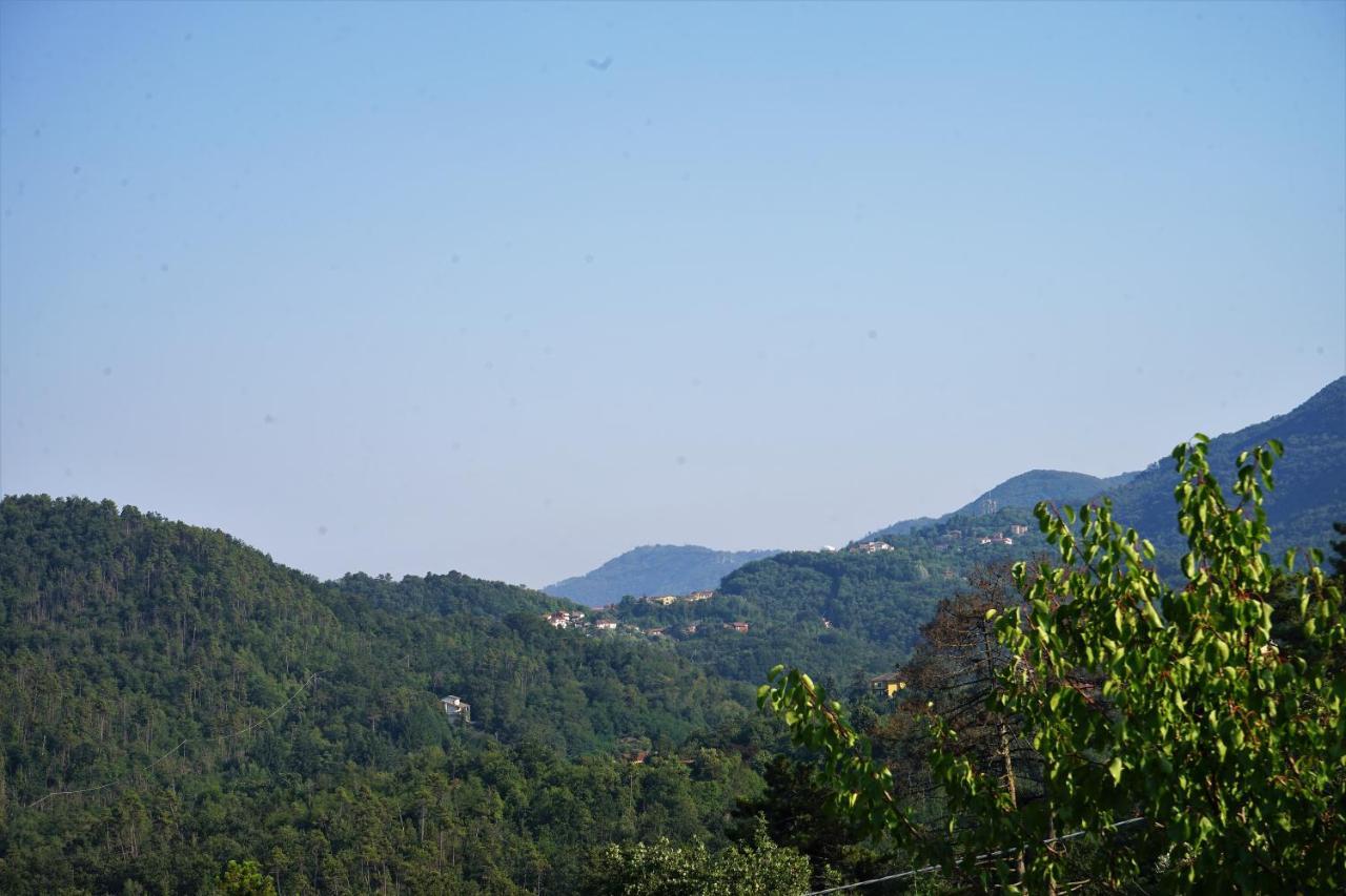 Ca Nel Bosco Holiday home San Benedetto (Liguria)